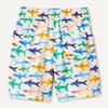 Amazon Essentials Boy’s Quick Dry Swimming Board Shorts Swim Trunks(Ivory Sharks)