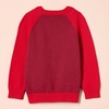 Amazon Essentials Boys and Toddlers’ Cotton Knit Pullover Crewneck Sweater(Red Color Block)