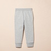 Amazon Essentials Boys and Toddlers’ Fleece Jogger Sweatpants with Elastic Waist and Drawstring, Multipacks(2-pack Medium Heather Gray)