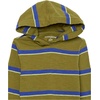 Amazon Essentials Boys and Toddlers’ Lightweight Long-Sleeve Hooded T-Shirt, Pack of 2(Dark Navy/Green Stripe)