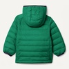 Amazon Essentials Boys and Toddlers’ Lightweight Water-Resistant Packable Hooded Insulated Puffer Jacket(Green)