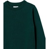 Amazon Essentials Boys and Toddlers’ Uniform Cotton Crewneck Pullover Sweater(Green)
