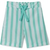 Bright Mint Green Stripe