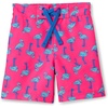 Bright Pink Flamingo