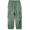 Dark Sage Green