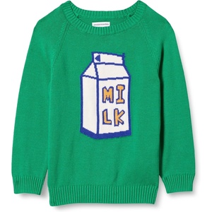 Amazon Essentials Boys and Toddlers’ Cotton Knit Pullover Crewneck Sweater(Green Milk Carton)