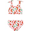 Amazon Essentials Girls’ 2pc Bow Bikini Swim Set, Quick-Dry Stretch Fabric(Pink Tomato Red Strawberries)
