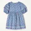 Amazon Essentials Girls and Toddlers’ 100% Cotton Puff-Sleeve Fit & Flare Dress(Blue Posey Floral)