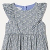 Amazon Essentials Girls and Toddlers’ Ruffle Woven Dress(Blue Posey Floral)