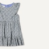 Amazon Essentials Girls and Toddlers’ Ruffle Woven Dress(Blue Posey Floral)