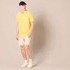 Amazon Essentials Men’s Slim-Fit Short-Sleeve Cotton Pique Polo Shirt(Yellow/Blue and White Tipped)