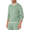 Amazon Essentials Men’s Relaxed Fit Crewneck Sweatshirt, Lightweight Long-Sleeve French Terry (Available in Big & Tall)(Sage Green)