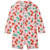 Amazon Essentials Unisex Babies’ Long-Sleeve One-Piece Rashguard(Pink Tomato Red Strawberries)