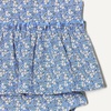 Amazon Essentials Baby Girls’ Sleeveless Bodysuit Dress, Pack of 3(Pale Pink/Blue Posey Floral)