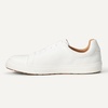 Amazon Essentials Men’s Low Top Classic Sneakers(White)