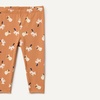 Amazon Essentials Toddler and Baby Girls’ Leggings(Black/Stripe/Lion and Pony)
