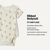 Amazon Essentials Unisex Babies’ Short-Sleeve Bodysuits(Multicolor/ Honey)