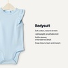 Amazon Essentials x Sofia Grainge Baby Girls’ Cotton Ruffle Sleeve Bodysuit with Embroidered Detail, Pack of 2(Light Blue/Stripe)