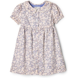 Amazon Essentials x Sofia Grainge Toddler and Baby Girls’ Cotton Sateen Dress with Collar(Blue Ivory Delicate Floral)