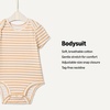 Amazon Essentials x Sofia Grainge Unisex Babies’ Short Sleeve Crewneck Bodysuit, Pack of 3(Ivory/Light Camel/Stripe)