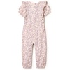 Amazon Essentials x Sofia Grainge Toddlers and Baby Girls’ Ruffle Romper(Blue Ivory Delicate Floral)
