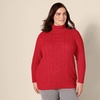 Amazon Essentials Women’s Long Sleeve Fisherman Cable Knit Turtleneck Sweater (Available in Plus Size)(Red)