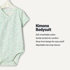 Amazon Essentials x Sofia Grainge Unisex Babies’ Side Snap Short Sleeve Bodysuit, Pack of 3(Rabbits/Round Trees/Stripe)