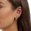 Amazon Essentials 14K Gold or Sterling Silver Plated Hoop Set(Yellow Gold)