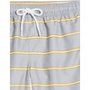 Amazon Essentials Men’s Men’s 9″ Quick-Dry Lightweight Breathable Swim Trunk with Mesh Liner(Grey Stripe)