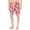 Red Hibiscus Flower
