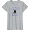 Amazon Essentials Star Wars Men’s Darth Vader I Am Your Father Collegiate Crest T-Shirt, Black, Small(Heather Grey)