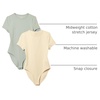 Amazon Essentials Women’s Short Sleeve Crew Neck Stretch Cotton Jersey Slim-Fit T-Shirt Bodysuit, Pack of 2(Beige/Light Sage Green)