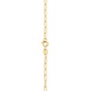 Amazon Essentials 14K Gold Plated Paperclip Chain Necklace(Yellow Gold)
