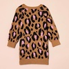 Amazon Essentials Girls and Toddlers’ Cotton Knit Raglan Sweater Dress, Long Sleeve(Camel Leopard)