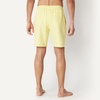 Amazon Essentials Men’s 9″ Quick-Dry Lightweight Breathable Swim Trunk with Mesh Liner(Light Yellow)