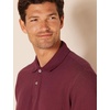 Amazon Essentials Men’s Regular-Fit Cotton Pique Polo Shirt, Short Sleeve (Available in Big & Tall)(Burgundy)